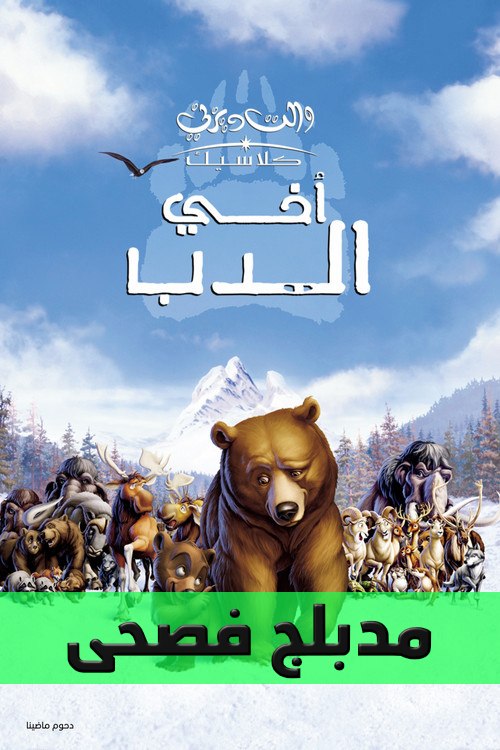 Poster for أخي الدب